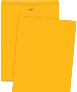 Business Source Clasp Envelopes